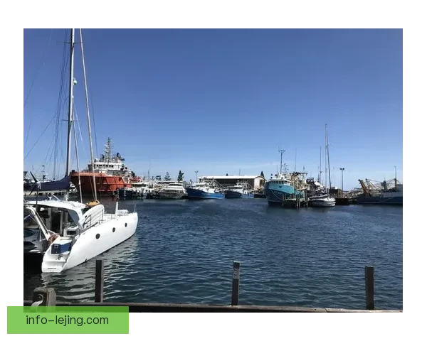 阿马达尔1-4珀斯红星探秘与未来发展趋势分析